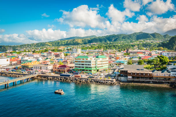 A panoramic view of Roseau, Dominica, showcasing colorful buildings along the Caribbean coastline under a bright blue sky.