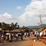 Bonga, Ethiopia – A scenic view of the lush coffee plantations and Bonga Forest, showcasing the natural beauty of the region.