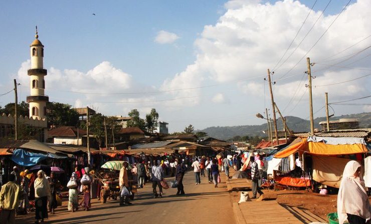 Bonga, Ethiopia – A scenic view of the lush coffee plantations and Bonga Forest, showcasing the natural beauty of the region.