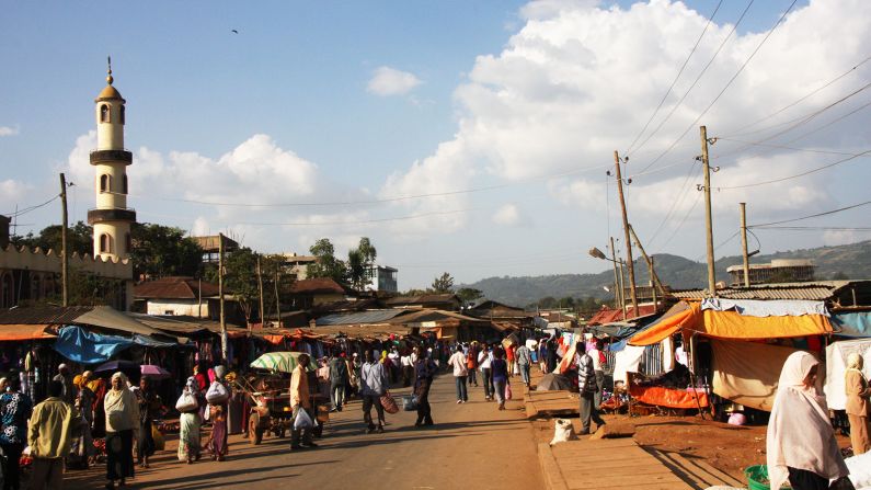 Bonga, Ethiopia – A scenic view of the lush coffee plantations and Bonga Forest, showcasing the natural beauty of the region.
