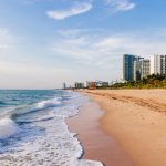 Palm trees and white sand beach on a sunny day in Florida, USA