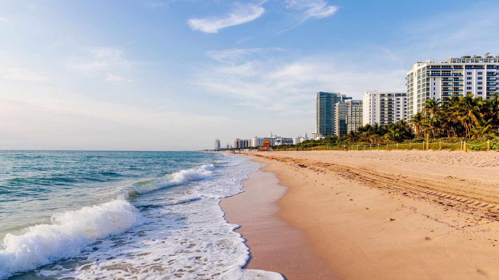 Palm trees and white sand beach on a sunny day in Florida, USA