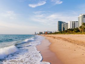 Palm trees and white sand beach on a sunny day in Florida, USA