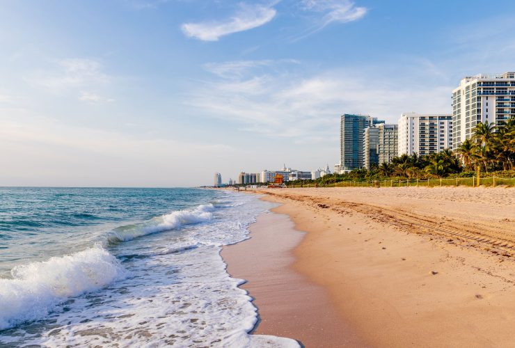 Palm trees and white sand beach on a sunny day in Florida, USA