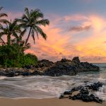 Tropical beach in Hawaii with palm trees and sunset sky