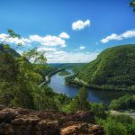 New Jersey spring landscape featuring a serene stream surrounded by lush greenery