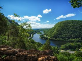 New Jersey spring landscape featuring a serene stream surrounded by lush greenery