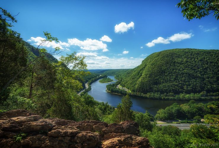 New Jersey spring landscape featuring a serene stream surrounded by lush greenery
