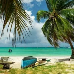 Colorful fishing boats anchored along the Oistins Bay shore with turquoise waters and palm trees in Barbados