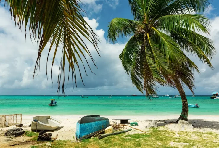 Colorful fishing boats anchored along the Oistins Bay shore with turquoise waters and palm trees in Barbados