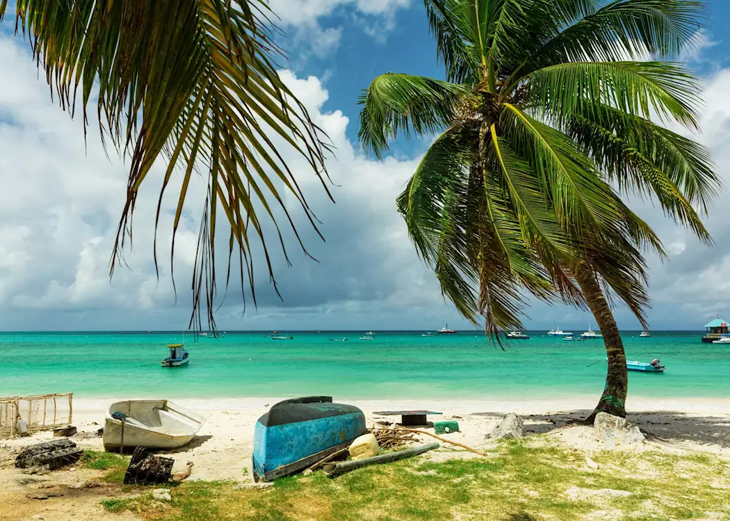 Colorful fishing boats anchored along the Oistins Bay shore with turquoise waters and palm trees in Barbados